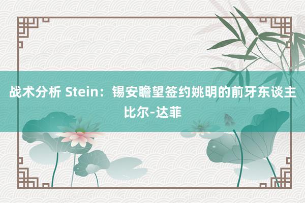 战术分析 Stein：锡安瞻望签约姚明的前牙东谈主比尔-达菲