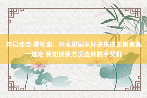 球员动态 霍勒迪：好意思国队好多东谈主皆是第一选定 我知谈我方没些许脱手契机