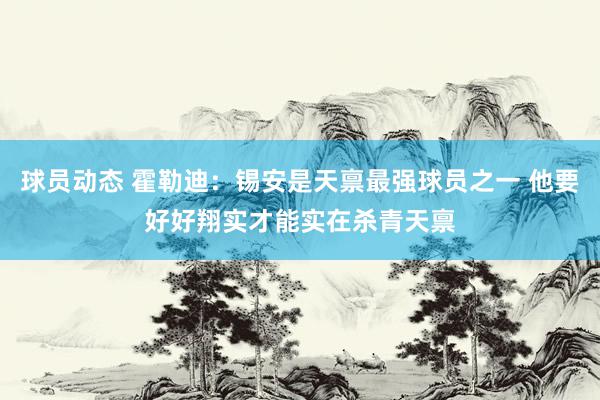 球员动态 霍勒迪：锡安是天禀最强球员之一 他要好好翔实才能实在杀青天禀