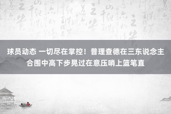 球员动态 一切尽在掌控！普理查德在三东说念主合围中高下步晃过在意压哨上篮笔直