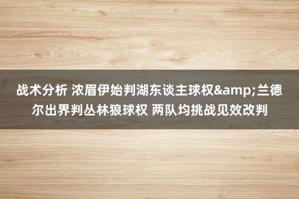 战术分析 浓眉伊始判湖东谈主球权&兰德尔出界判丛林狼球权 两队均挑战见效改判