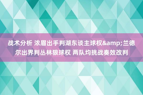 战术分析 浓眉出手判湖东谈主球权&兰德尔出界判丛林狼球权 两队均挑战奏效改判