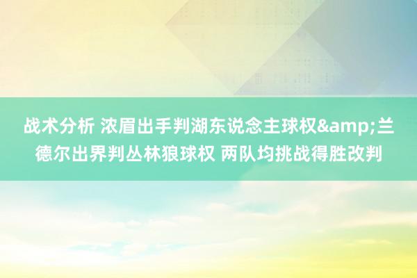 战术分析 浓眉出手判湖东说念主球权&兰德尔出界判丛林狼球权 两队均挑战得胜改判