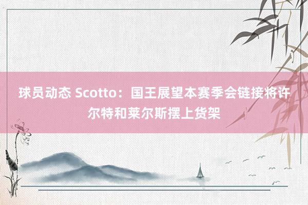 球员动态 Scotto：国王展望本赛季会链接将许尔特和莱尔斯摆上货架